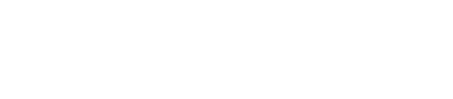 wukong55 logo